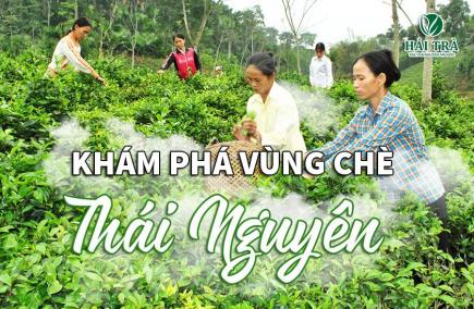Khám phá những vùng trà nổi tiếng của Thái Nguyên