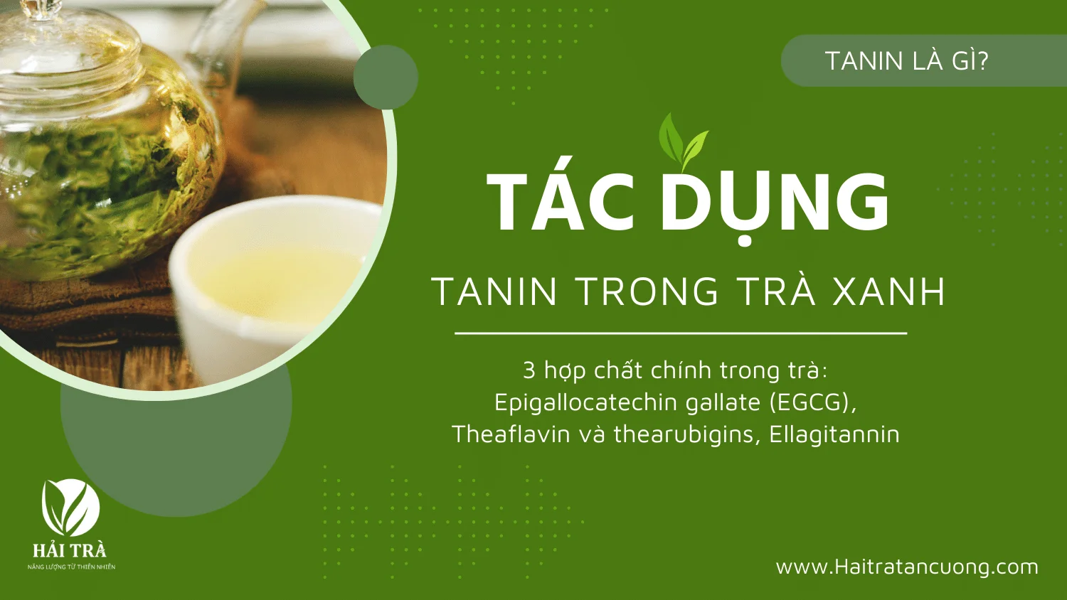 Tannin là gì? Hợp chất tanin trong trà có tác dụng gì