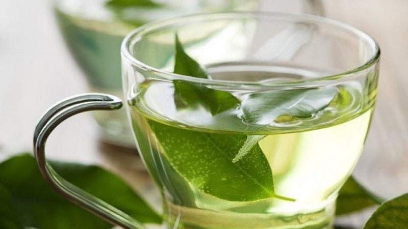 Uống trà xanh ngăn ngừa bệnh ung thư