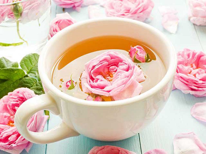 Pha trà hoa hồng