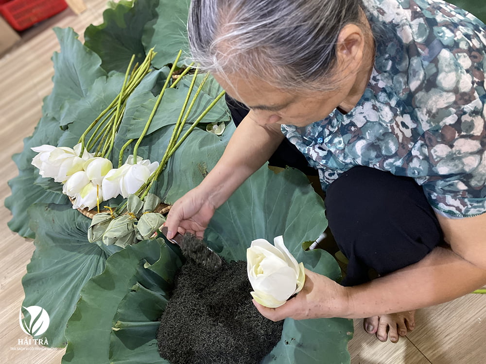 Công đoạn ướp sen được chúng tôi thực hiện cẩn thận