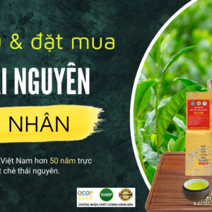Chè Thái Nguyên