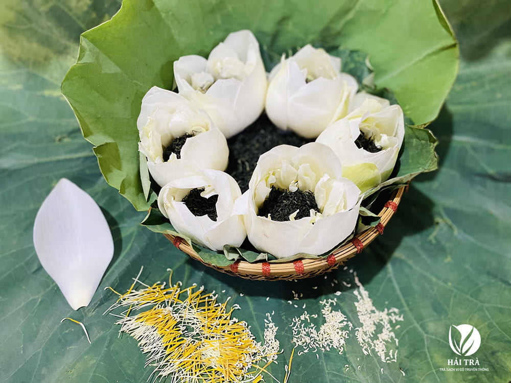 Trà ướp bông sen trắng bạch liên cao cấp là món quà quý mà đất trời trao tặng