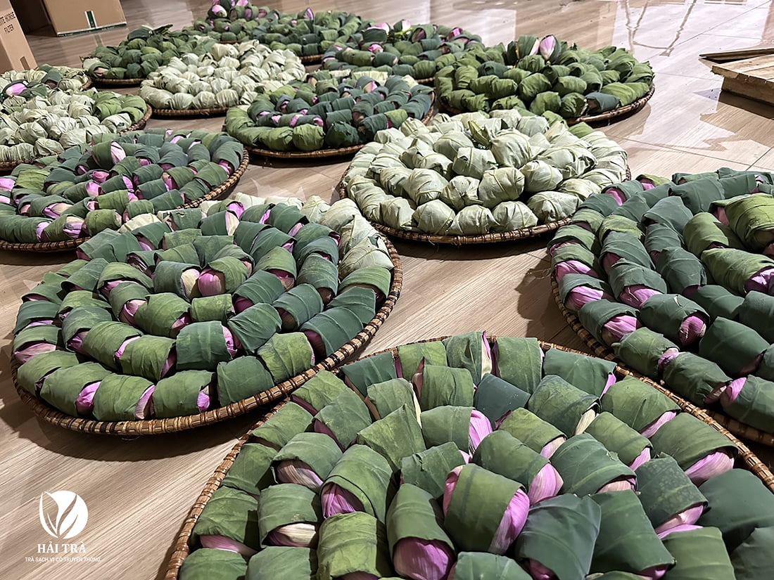 nguyên liệu trà và sen chọn lọc kỹ