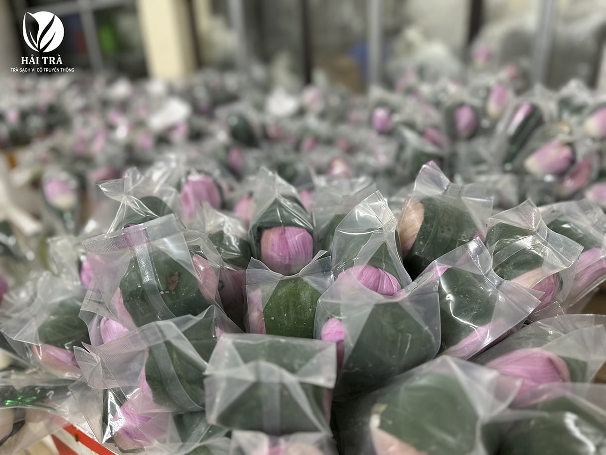 Trà sen sấy thăng hoa giúp bạn dễ dàng vận chuyển bảo quản