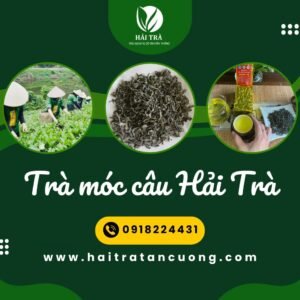 Trà móc câu