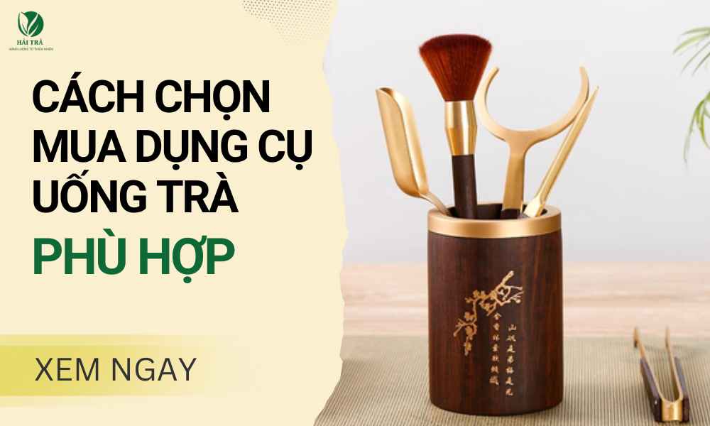 Cách Chọn Mua Dụng Cụ Uống Trà Phù Hợp