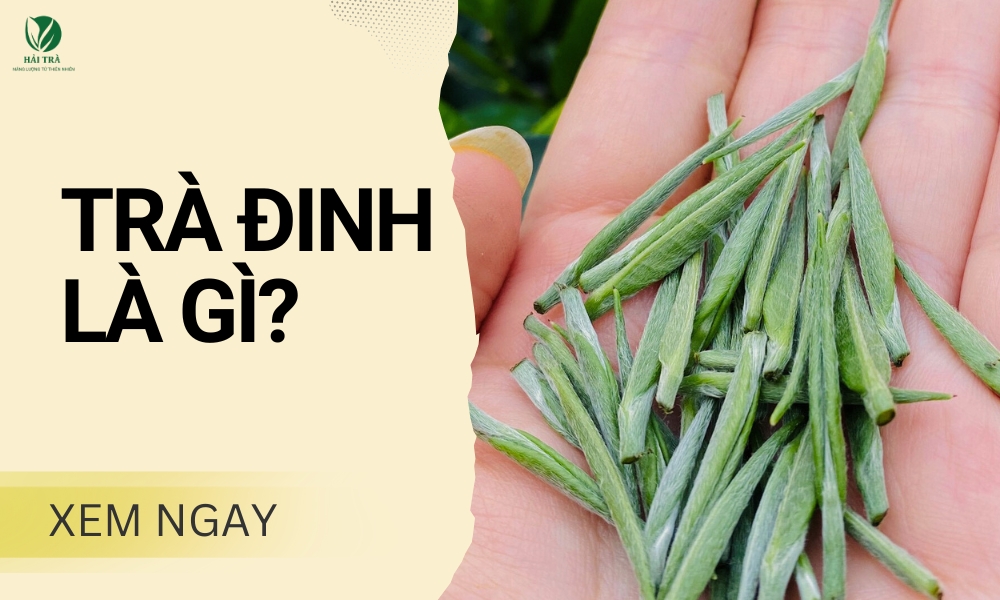 Trà đinh Thái Nguyên là gì