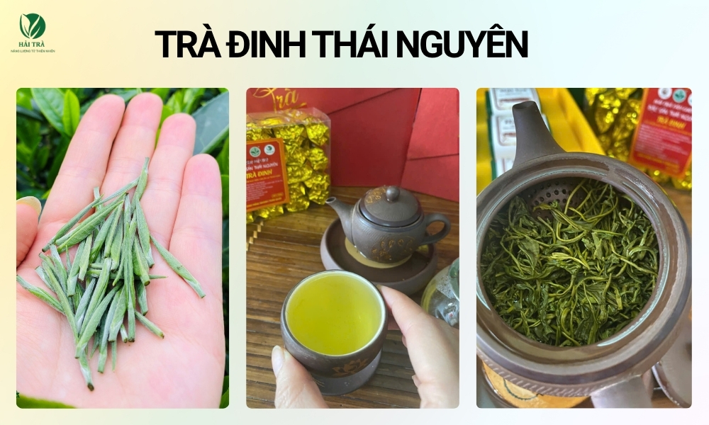 Trà đinh thuộc phẩm trà thượng hạng trong các dòng trà Thái Nguyên