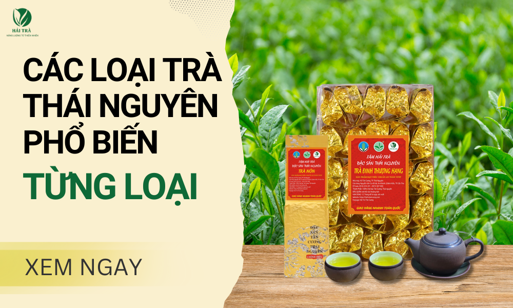 Các Loại Trà Thái Nguyên Phổ Biến? Tìm Hiểu Chi Tiết Từng Loại