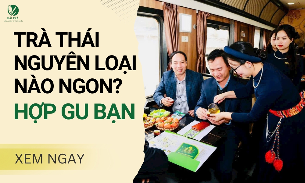 Trà Thái Nguyên Loại Nào Ngon? Cách Chọn Mua Trà Phù Hợp