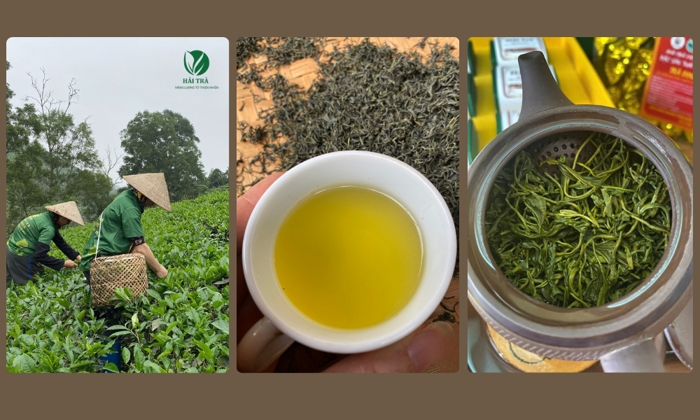 Trà Thái Nguyên ngon là trà hợp gu với bạn