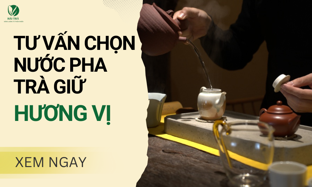 Tư vấn chọn nước pha trà thơm ngon giữ nguyên hương vị