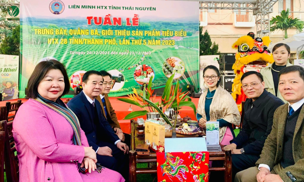 Trưng bày giới thiệu quảng bá Trà Thái Nguyên đến khách hàng