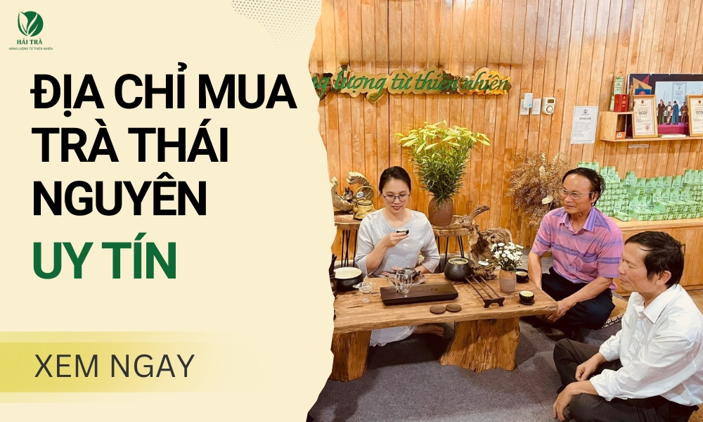 Gợi ý địa chỉ mua trà Thái Nguyên chính gốc, uy tín