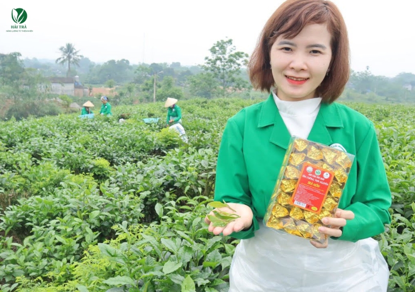 Người nông dân thu hái Trà Thái Nguyên
